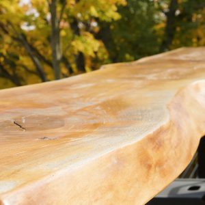 Lake Michigan Deck Builders