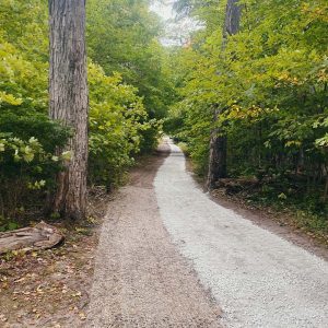 Lake Michigan Walkway And Driveway Builders