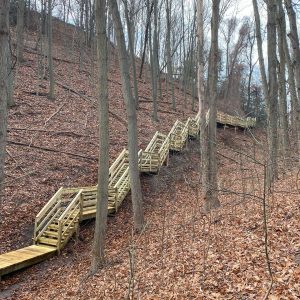 19 West Michigan Wooden Stair Contractor