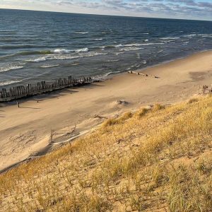 Lake Michigan Erosion Control Native Dune Grass