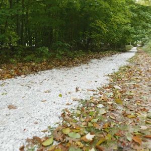 West Michigan Pathway Contractor