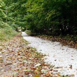 Lake Michigan Limestone Driveways And Walkway Builders