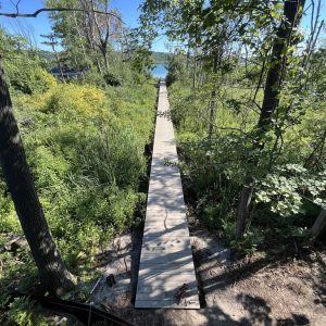 Boardwalk path through the woods to the lake, West Michigan walkway builders