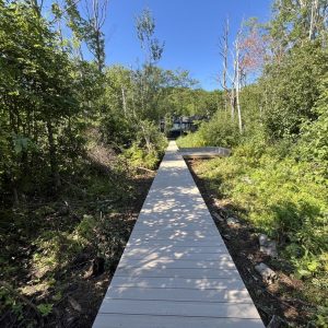 Composite boardwalk through dune grass to Lake Michigan, walkway builders in West Michigan