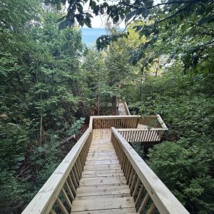 Wooden stairs and boardwalk through the woods toward the lake, West Michigan wooden stair builders